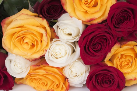 Bouquet of red, yellow and white roses closeup.の写真素材