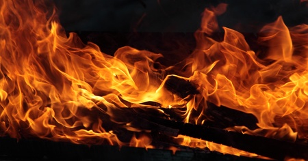 Burning fire wood in the fireの写真素材