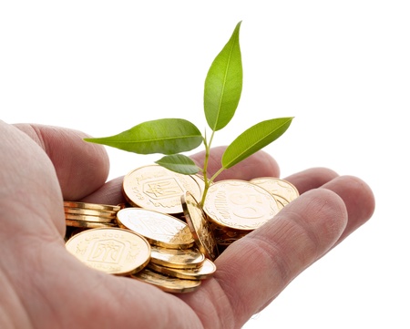 Young sprout from a pile of coins. Concept for investments.の写真素材