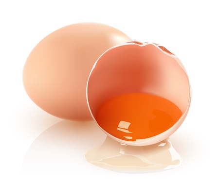 Two brown eggs on a white background のイラスト素材