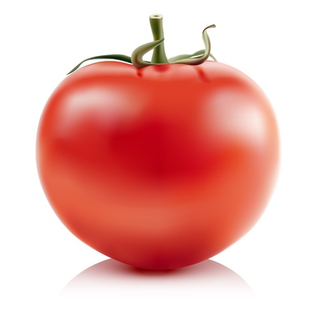 Illustration of red tomatoes isolated on white background  のイラスト素材