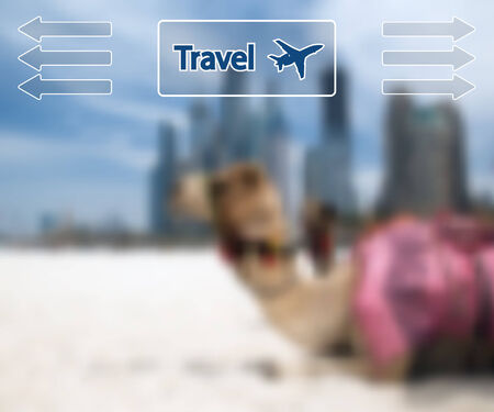 Camel at the urban background of Dubai. Vector Illustration.のイラスト素材