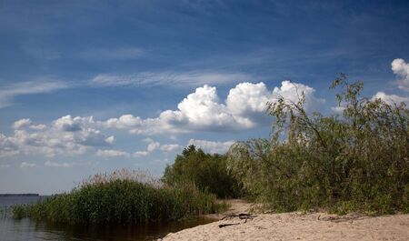 River Bank with Trees, Reeds and Sand on the sky backgroundの写真素材