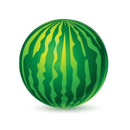 Vektor für Watermelon isolated on white background. Vector illustration - Lizenzfreies Bild