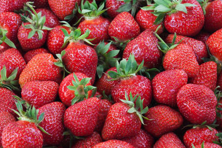 Lot of ripe delicious strawberries. Food fruity backgroundの写真素材