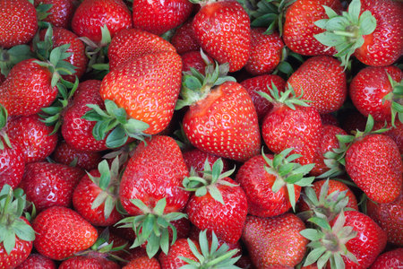 Lot of ripe delicious strawberries. Food backgroundの写真素材