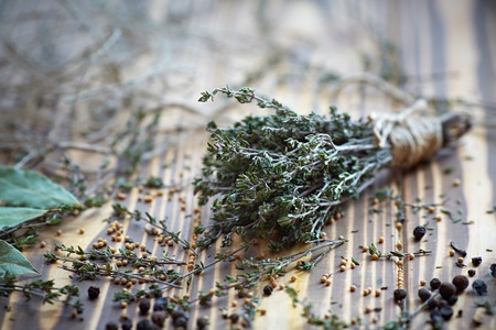 Assorted spices and fresh thymeの写真素材