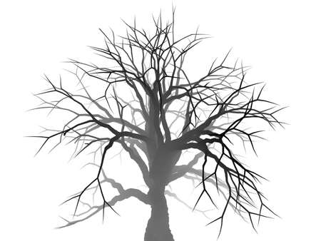 Lonely tree silhouetteの写真素材