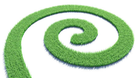 Curl of green grassの写真素材