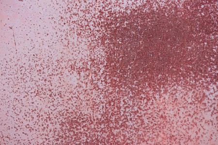 Metal texture with scratches and cracksの写真素材