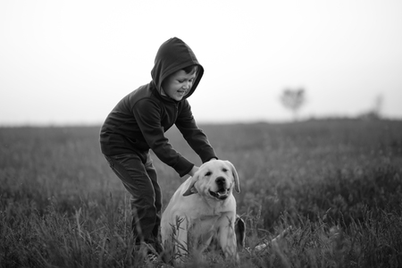 Small boy and cute dog on a fieldの写真素材