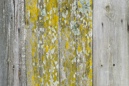 Wooden texture with scratches and cracksの写真素材