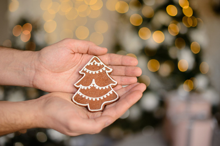 Christmas decoration and a fir-tree. It can be used as a backgroundの写真素材