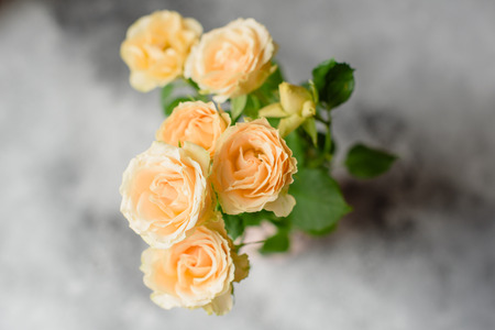 Beautiful fresh beige roses in a vase on a concrete background. Laying and decoration of a tableの写真素材