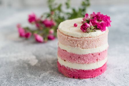 Beautiful pink cream and berries cake on a light concrete background. Birthday celebrationの写真素材
