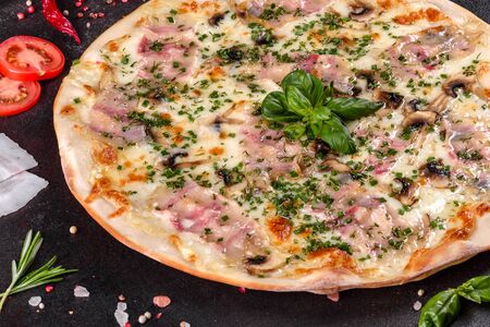 Fresh hot pizza with bacon, onions, greens and tomatoes made in an oven. Italian cuisineの写真素材