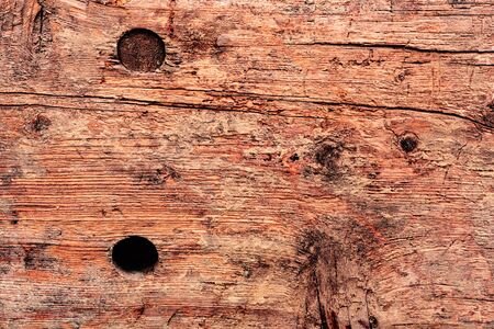Texture, wood, wall, it can be used as a background. Wooden texture with scratches and cracks