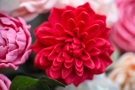 Bouquet of bright colourful colours made from soap in basket of old vintage bike in summer gardenの写真素材