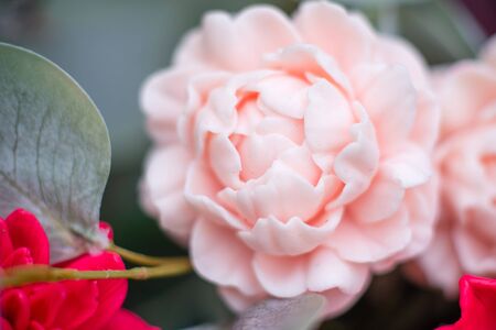 Bouquet of bright colourful colours made from soap in basket of old vintage bike in summer gardenの写真素材