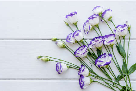 A bouquet of beautiful freshly cut purple eustoma on a one ton background. Background with beautiful colorsの写真素材