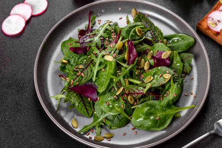 Fresh juicy salad with leaves of mangold, arugula, spinach and beets. Vegitarian foodの写真素材