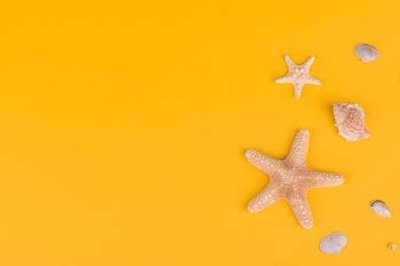 Beach accessories: glasses and hat with shells and sea stars on a colored background. Summer backgroundの写真素材
