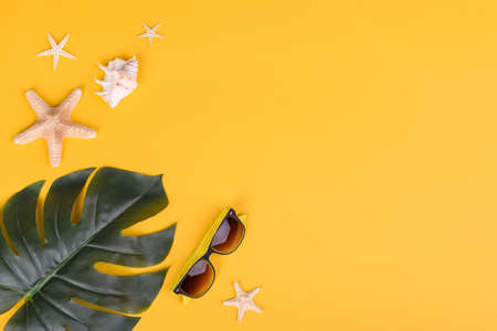 Beach accessories: glasses and hat with shells and sea stars on a colored background. Summer backgroundの写真素材