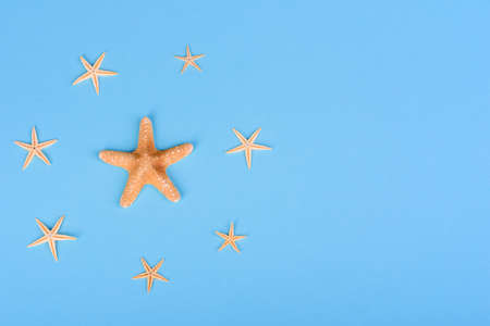 Beach accessories: glasses and hat with shells and sea stars on a colored background. Summer...