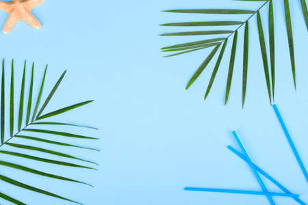 Leaves of a green plant on a colored background with a place for text. Summer backgroundの写真素材