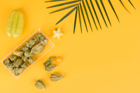 Fruit carambol, beach accessories and foliage of a tropical plant on colored paper. Summer...