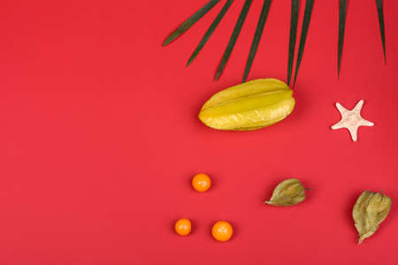 Fruit carambol, beach accessories and foliage of a tropical plant on colored paper. Summer background with sea stars and fruitsの写真素材