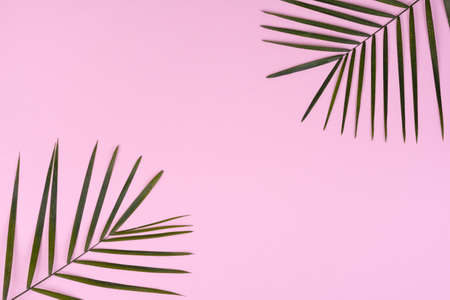 Beach accessories: glasses and hat with shells and sea stars on a colored background. Summer backgroundの写真素材