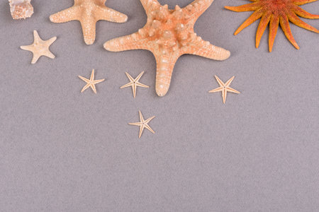 Beach accessories with shells and sea stars on a colored background