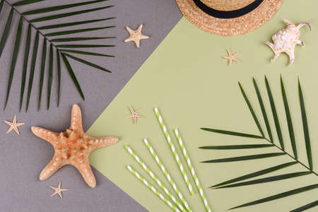 Beach accessories with shells and sea stars on a colored background