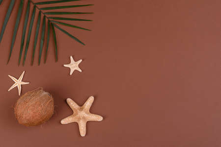 Beach accessories with shells and sea stars on a colored backgroundの写真素材