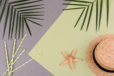 Beach accessories with shells and sea stars on a colored background