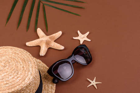 Beach accessories with shells and sea stars on a colored backgroundの写真素材