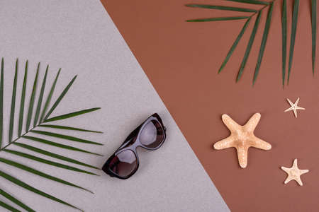 Beach accessories with shells and sea stars on a colored backgroundの写真素材