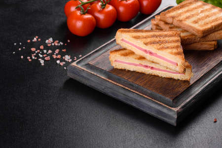 Delicious fresh toast grill with cheese and ham. Sandwiches, quick snack
