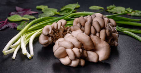 Mushrooms pattern background for design and decoration. Edible oyster mushrooms
