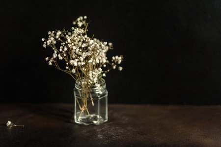 Beautiful twigs of dry gypsophile in a glass can on a dark concrete backgroundの写真素材