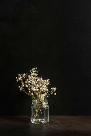Beautiful twigs of dry gypsophile in a glass can on a dark concrete backgroundの写真素材