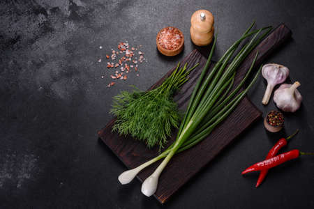 Spring onions, dill, garlic and hot pepper as well as spices and herbs on a wooden cutting board as ingredients in the preparation of traditional Ukrainian borschtの写真素材