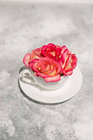 Beautiful fresh roses of pink color with drops of dew in a white scab on a gray concrete background. Decorating the dining tableの写真素材