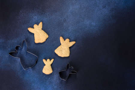 Christmas gingerbread. Delicious gingerbread cookies with honey, ginger and cinnamon. Winter compositionの写真素材