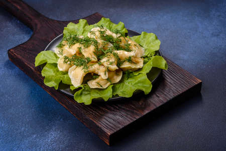 Delicious fresh cooked dumplings with potatoes embellished with greens and lettuce leaves on a dark plate against a blue concrete backgroundの写真素材