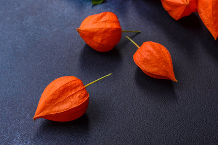 Beautiful orange buds of cape gooseberry on a dark concrete background. autumn harvestの写真素材