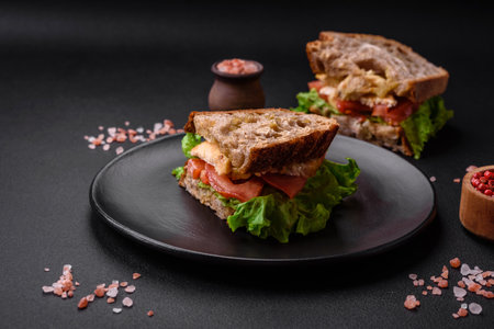 Delicious sandwich with crispy toast, chicken, tomatoes and lettuce on a dark concrete backgroundの写真素材