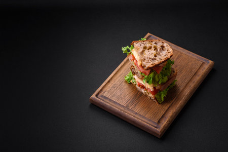 Delicious sandwich with crispy toast, chicken, tomatoes and lettuce on a dark concrete backgroundの写真素材