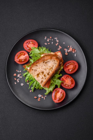 Delicious caprese sandwich with grilled toast, mozzarella, lettuce and tomatoes on a dark concrete backgroundの写真素材